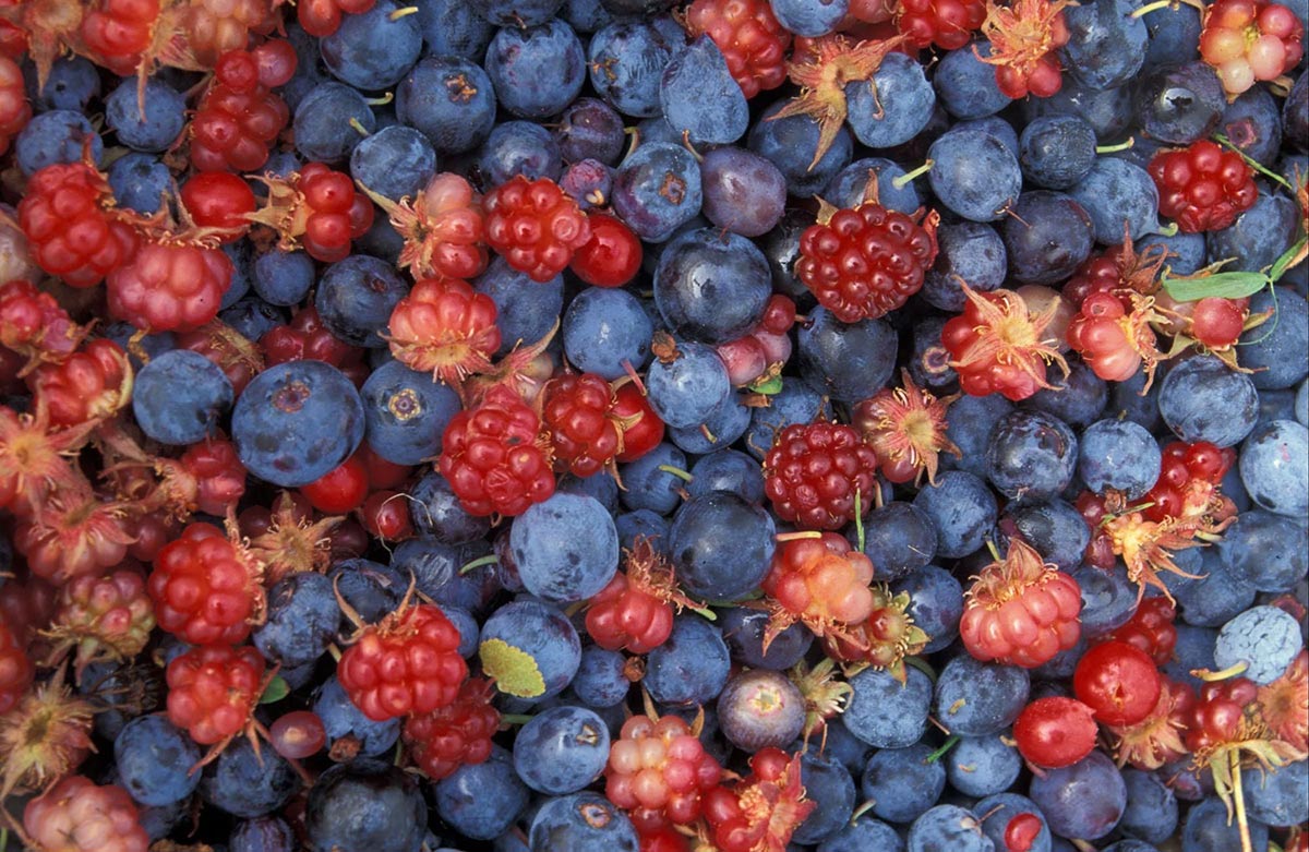 Raspberry and blueberry background